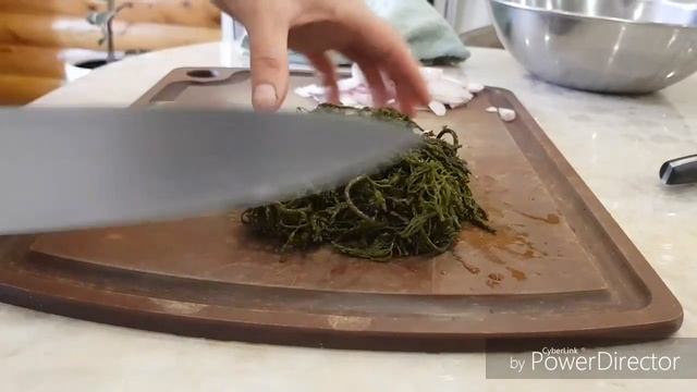 Как готовить свежий, морской виноград. Сахалин, Невельск. смотреть онлайн