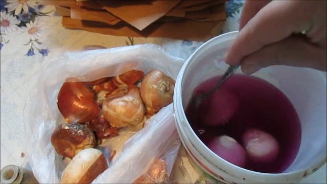 КАК СОХРАНИТЬ ЛУКОВИЦЫ ТЮЛЬПАНОВ ДО ВЕСНЫ? / Elena Pero смотреть онлайн