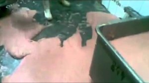 Как делают колбасу (без мата)