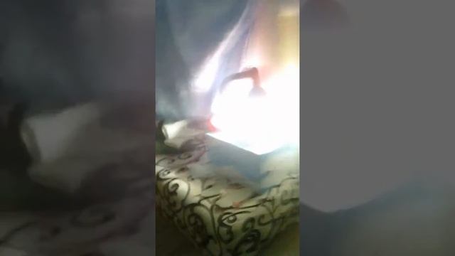 Как вырастить цяплят без инкубатора! смотреть онлайн