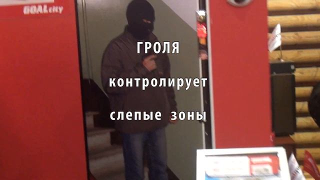 Электронный телохранитель для дома - Гроля смотреть онлайн
