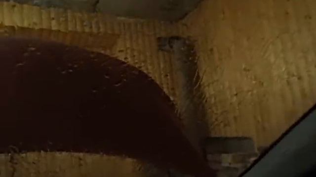 киа рио веерные форсунки смотреть онлайн