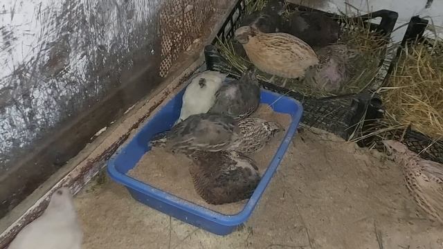 Они справились на отлично. Будем ждать.