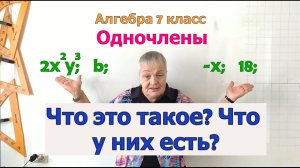 Одночлен и его компоненты - коэффициент, буквенная часть и степень одночлена. Определения.