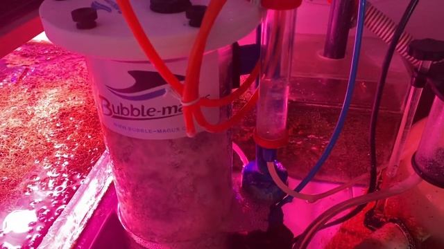 Почистил заднее стекло, аквариум преобразился. смотреть онлайн