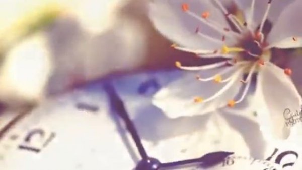 с чистого листа (present for TT)