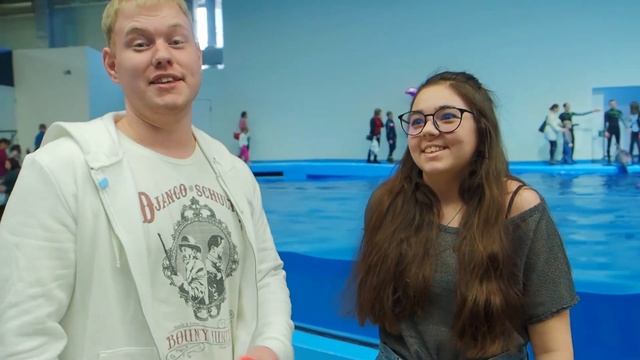 Отзывы Дельфин шоу "Страна Дельфиния" смотреть онлайн