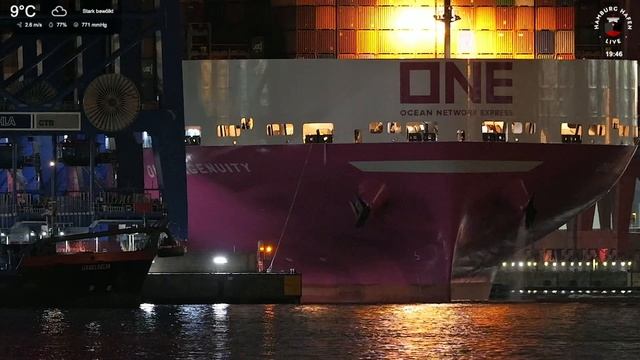 Erstanlauf ?? ONE INGENUITY zum Containerterminal Burchardkai ⚓️ 400 m Containerschiff / 24.000 TEU смотреть онлайн