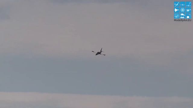 The biggest L-39 ALBATROS 1:2,7 MARC PETRAK RC AIRSHOW DEMOFLIGHT смотреть онлайн