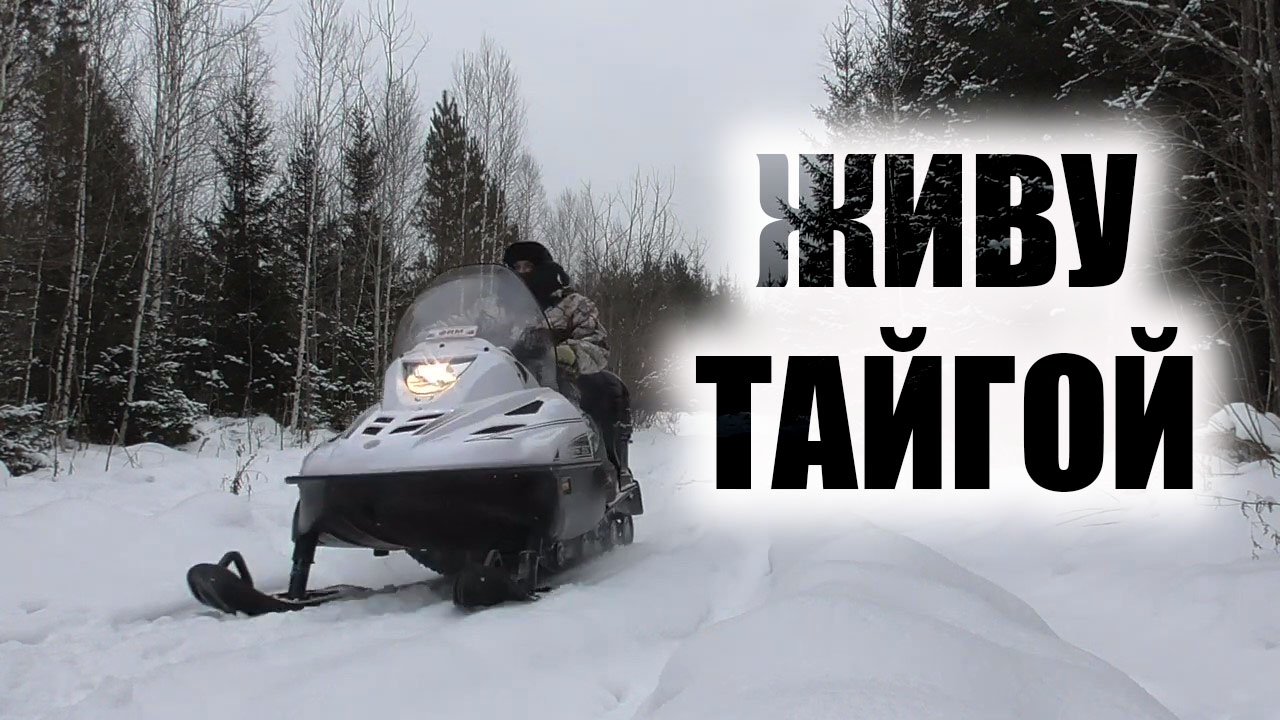 Охота на соболя Один день в лесу на снегоходе тайга варяг 550 Промысел смотреть онлайн
