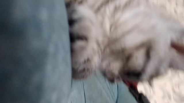 Игра Тимоши под песню 