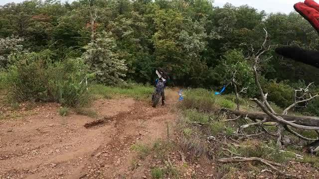 шотский серебро