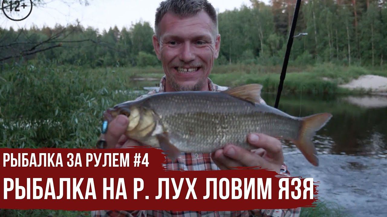 Рыбалка на р. Лух ловим ЯЗЯ \ Рыбалка за рулем #4 \ #6 смотреть онлайн