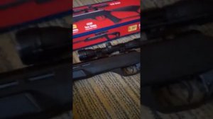 Обзор винтовки Crosman Thrasher .177