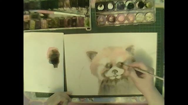 Портрет малой панды. Часть 4. смотреть онлайн