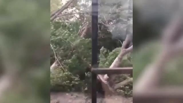 Ураган в Караганде смотреть онлайн