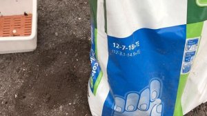 Залог успеха урожая томатов.