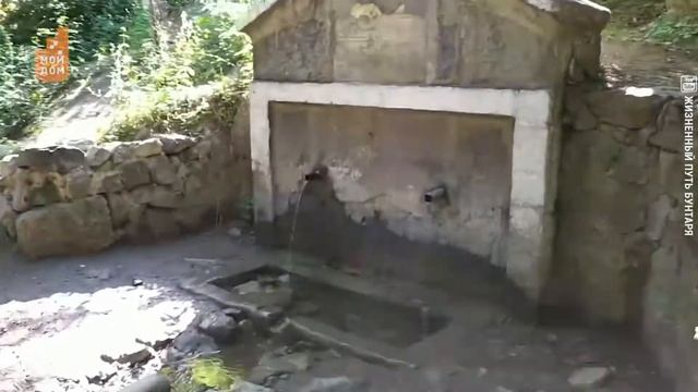 Родниковая, колодезная или бутилированная смотреть онлайн