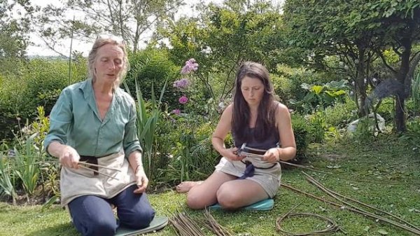 Quick, easy willow plant support