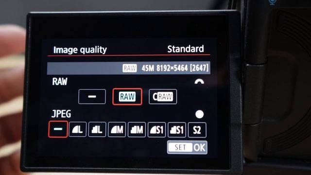 Canon EOS R5 | After Six Months...Honeymoon Over? Plus My AF Settings & Patreon Announcement! смотреть онлайн