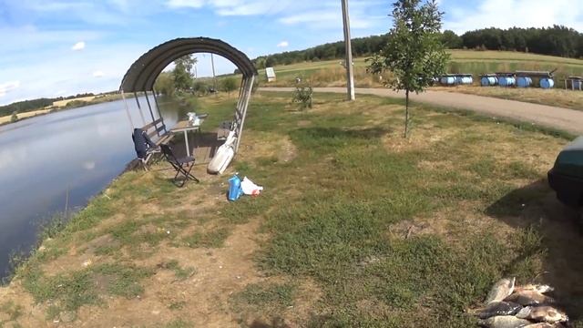 Отдых и рыбалка в Воронеже на пруду смотреть онлайн