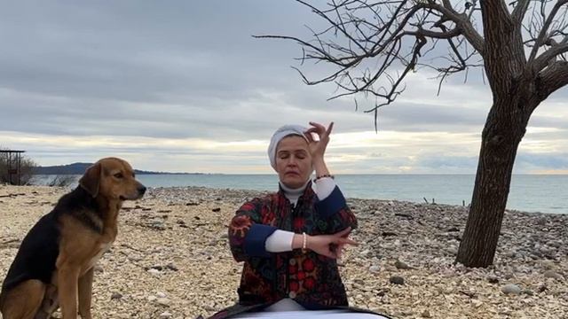 Сюрприз во время медитации смотреть онлайн