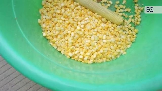 Станок для очистки кукурузы смотреть онлайн