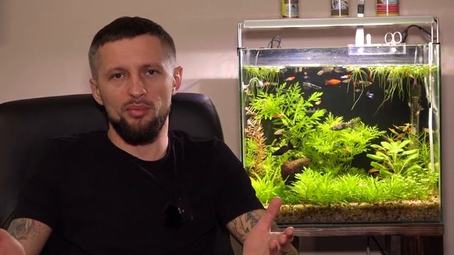 Новая рубрика "для новичка"! Стоит ли заводить аквариум? смотреть онлайн