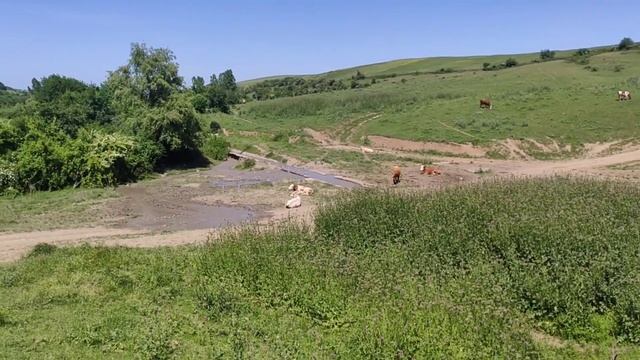 Qusar rayonu Кусарский район смотреть онлайн