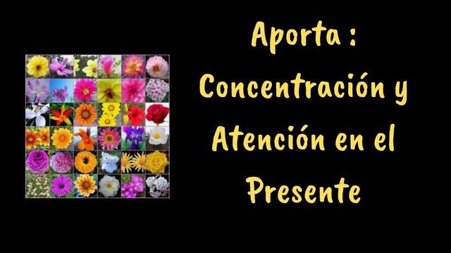 Flores de Bach. Clematis | Laura Casart смотреть онлайн