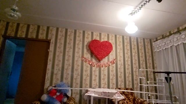 Наша новогодняя красавица. Канадская Ель супер блю. смотреть онлайн