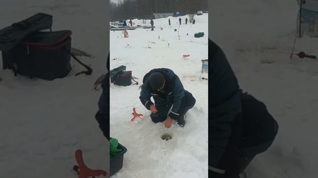 Поимки Форели смотреть онлайн