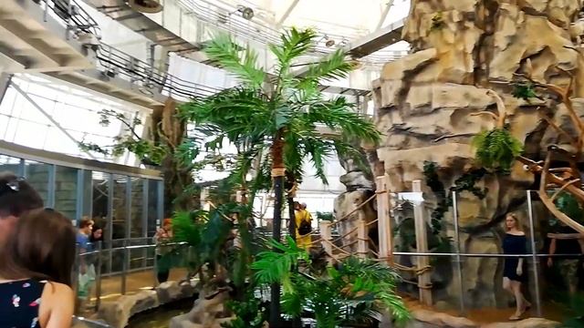 ВЕСЁЛЫЙ ЗООПАРК. Беларусь (Минск) . / The walk in zoo. смотреть онлайн