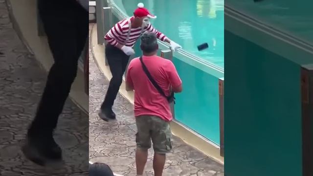 Мим разыграл туриста ?? смотреть онлайн