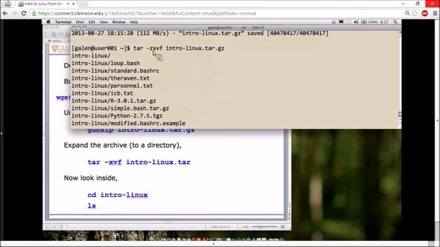 3 - Linux Directory Structure and Man Pages (part 1) смотреть онлайн