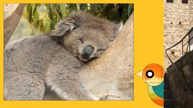 С ДНЕМ РОЖДЕНИЯ ИННА-ДОРОГАЯ МОЯ СЕСТРЕНКА!!! смотреть онлайн