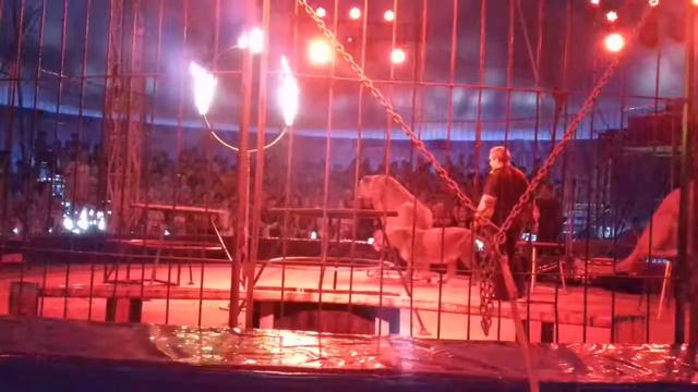 Султан Бейбарыс. М. смотреть онлайн