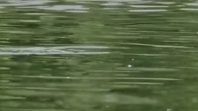 Серия 1. Поплавочный практикум с Евгением Середой.