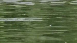 Серия 1. Поплавочный практикум с Евгением Середой.