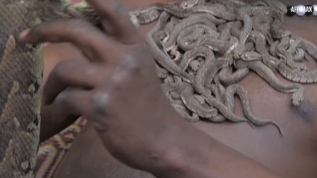 Voici L’homme Qui Se Couvre De Milliers De Serpents, Il A Choqué Le Monde смотреть онлайн