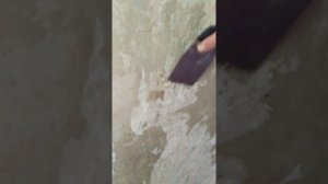 Как очистить стену от обои наклеенной на клей ПВА.