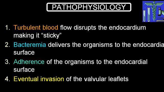 INFECTIVE ENDOCARDITIS смотреть онлайн