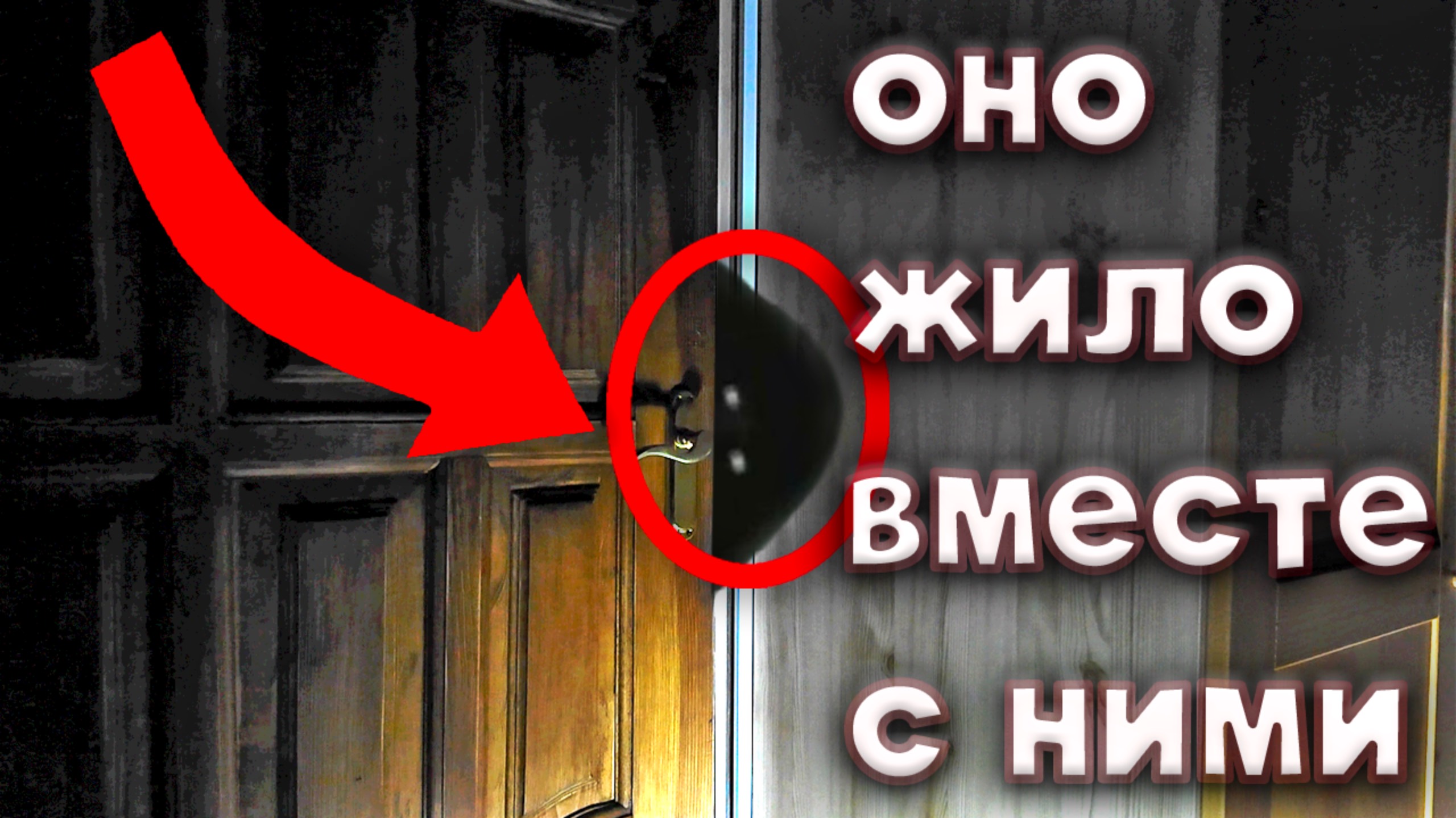 ЭТО СУЩЕСТВО ЖИЛО С НИМИ В ДОМЕ | THE DOOR [1440p 60FPS, Eng. Subs] Feat. Лизка с корицей .𖥔 ݁ ˖