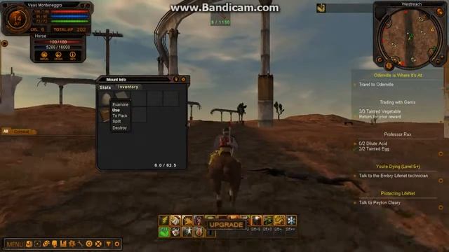 Небольшая прогулка на лошади(один из многих маунтов в игре)