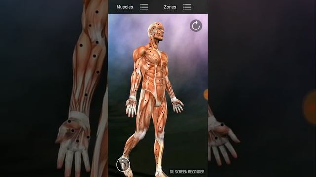 Карта триггерных точек и отражённой боли на Android смотреть онлайн