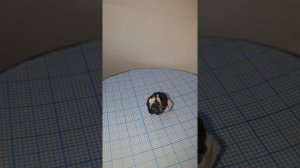 Как проверить Драгоценные Камни? Шерл, Турмалин в Материнской породе Кальцита!