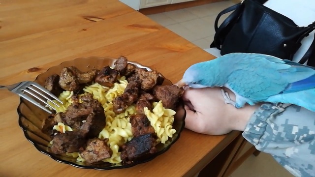 Полли тырит мясо смотреть онлайн