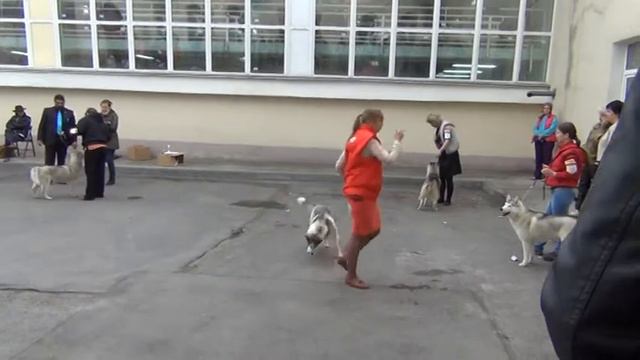 25.05.2014г.АТЛАНТЕРРА МАКСИМА МАЛЕНА (МАКСИ) смотреть онлайн
