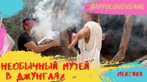 Приехали в Джунгли! Вау