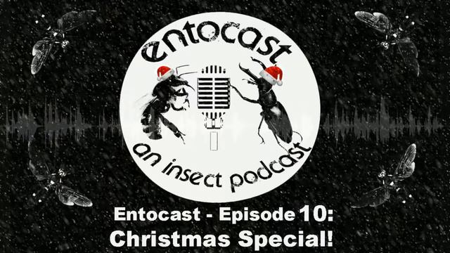 Episode 10: Christmas Special - Insects in Antarctica смотреть онлайн